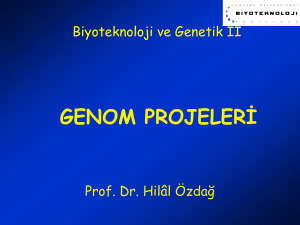 Genomics I - Ozdag Lab