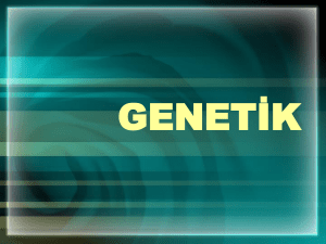 genetik - DijitalDers.com