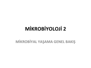 mikrobiyoloji 2 - Erzurum Teknik Üniversitesi