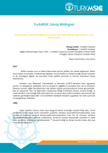 TurkMSIC Görüş Bildirgesi