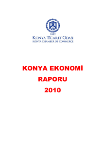 konya ekonomi raporu 2010
