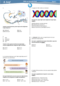 8. Sınıf Test-1 DNA ve Genetik Kod