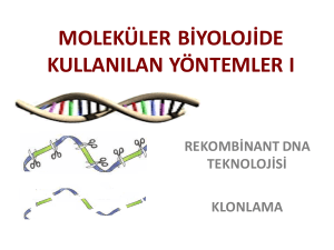 rekombinant DNA