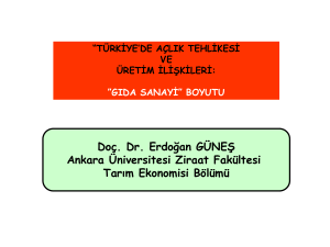 Doç Dr. Erdoğan GÜNEŞ "Gıda Sanayi"