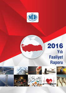 Maliye Bakanlığı 2016 Yılı Faaliyet Raporu