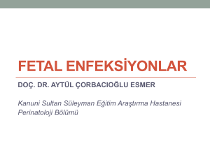fetal enfeksiyonlar - Doç. Dr. Aytül Çorbacıoğlu Esmer