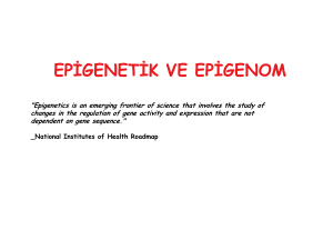 epigenetik ve epigenom