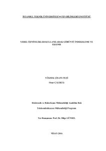 istanbul teknik üniversitesi fen bilimleri enstitüsü yüksek lisans tezi