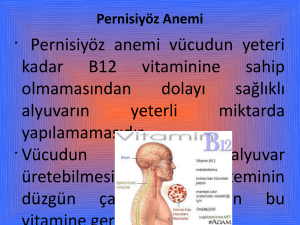 Pernisiyöz Anemi - E