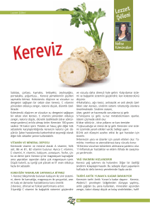 Lezzet Şöleni - Akdeniz Kültür Dergisi | ZZ
