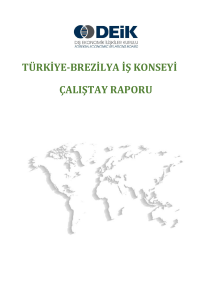 Türkiye-Brezilya İş Konseyi Çalıştay Raporu