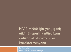 HIV-1 virüsü için yeni, geniş etkili Bi-spesifik nötralizan