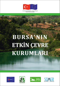 Bursa`nın Etkin Çevre Kurumları