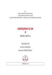 GİRİŞİMCİLİK 2