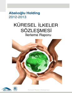 Küresel İlkeler Sözleşmesi İlerleme raporu