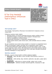 B Tipi Grip Hastalığı (Haemophilus Influenzae Type b (Hib))