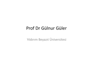 Prof Dr Gülnur Güler