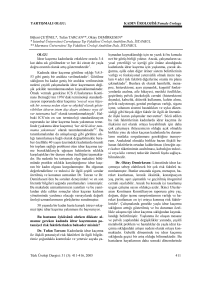 KADIN ÜROLOJİSİ/Female Urology Türk Üroloji Dergisi: 31 (3): 411