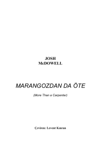 MARANGOZDAN DA ÖTE