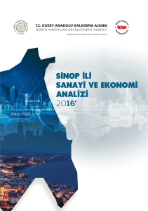 Sinop İli Sanayi ve Ekonomi Analizi 1.3 MB /