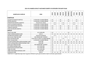 2014 yılı manisa devlet hastanesi komite ve ekiplerin toplantı planı