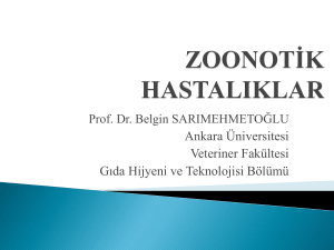 Zoonotik Hastalıklar - Ankara Üniversitesi Açık Ders Malzemeleri