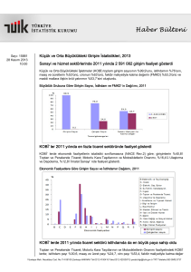 Küçük ve Orta Büyüklükteki Girişim İstatistikleri-(2013-28.11