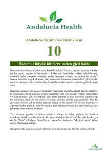 Andalucia Health hacamat kursu Hacamat büyük kitlelere