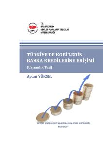 Türkiye`de KOBİ`lerin Banka Kredilerine Erişimi (Uzmanlık Tezi)