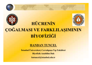 3-FARKLILASMA-TURKCE-20164.04 MB