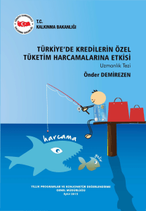 Türkiyede Kredilerin Özel Tüketim