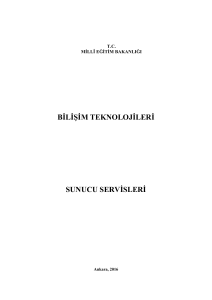 bilişim teknolojileri sunucu servisleri