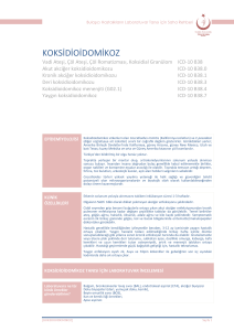 Koksidioidomikoz - Türkiye Halk Sağlığı Kurumu
