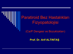 Paratiroid Hastalıkları Fizyopatolojisi File