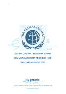 2013 Global Compact İlerleme Raporu
