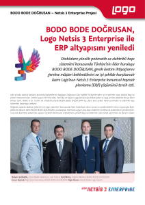 BODO BODE DOĞRUSAN, Logo Netsis 3 Enterprise