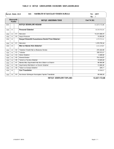 TABLO 1.9 BÜTÇE GİDERLERİNİN EKONOMİK