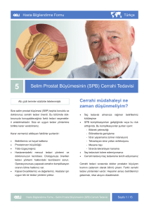Selim Prostat Büyümesinin (SPB) Cerrahi Tedavisi