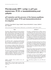 Piterijiyumda HPV varl›¤› ve p53 gen mutasyonu: PCR ve
