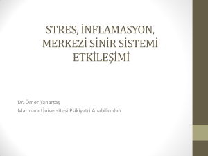 Stres, inflamasyon, merkezi sinir sistemi etkileşimi