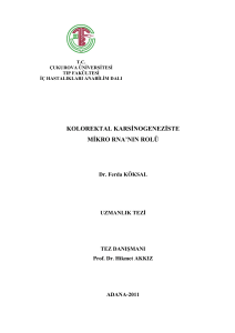 kolorektal karsinogeneziste mikro rna`nın rolü