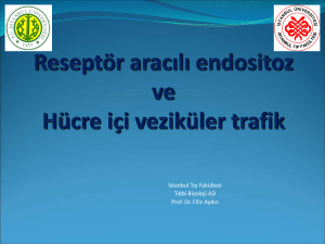 PowerPoint Sunusu - İstanbul Tıp Fakültesi