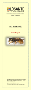 arı allerjisi