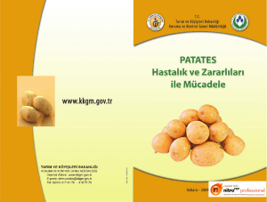 Patates Hastalık ve Zararlıları