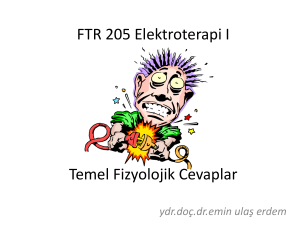 FTR 205 Elektroterapi I Elektrik Stimulasyonu Prensipleri