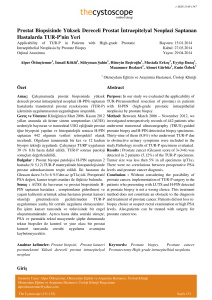 Prostat Biopsisinde Yüksek Dereceli Prostat