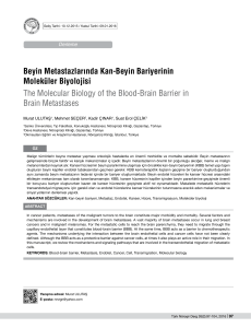 Beyin Metastazlarında Kan-Beyin Bariyerinin Moleküler Biyolojisi