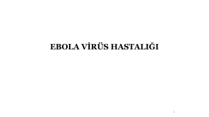 14.Hafta Ebola Virüs Hastalğı File