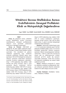 Vitrektomi Sonrası Stafilokokus Aureus Endoftalmisinin Deneysel