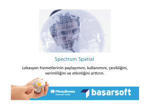 Spectrum Spatial (3) [Salt Okunur]